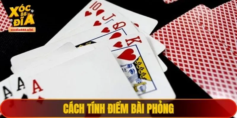 Cách tính điểm bài phỏng chuẩn nhất