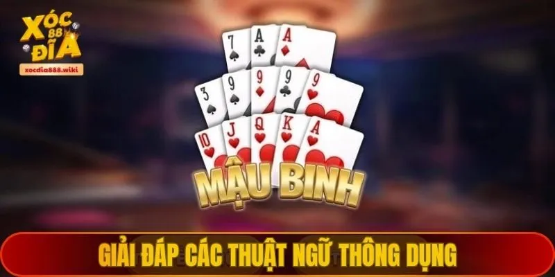 Giải đáp các thuật ngữ thông dụng trong bài mậu binh XOCDIA88