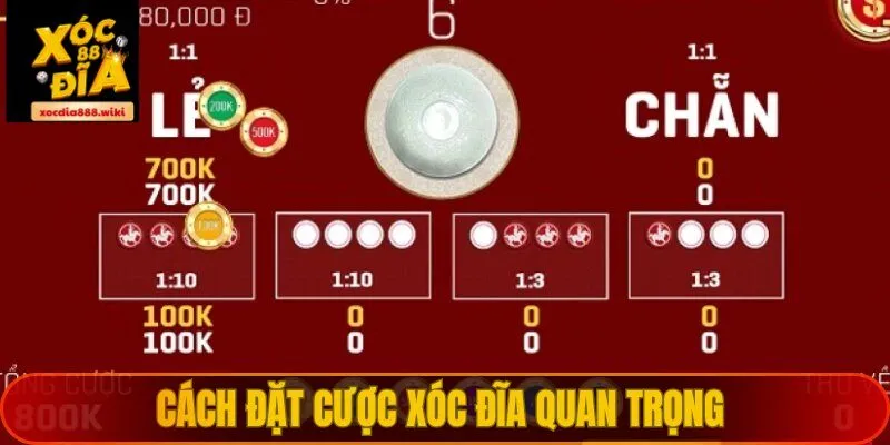 Quy tắc cược kết quả trò chơi dễ dàng nắm bắt